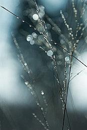 《明末：渊虚之羽》制作人：黑神话成功令团队备受鼓舞